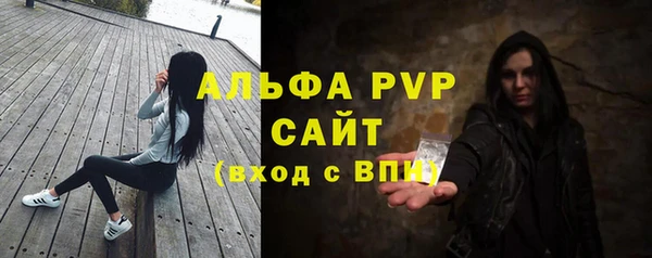ПСИЛОЦИБИНОВЫЕ ГРИБЫ Няндома