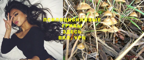 марки lsd Арсеньев