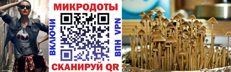даркнет официальный сайт  Городец  Псилоцибиновые грибы Cubensis 